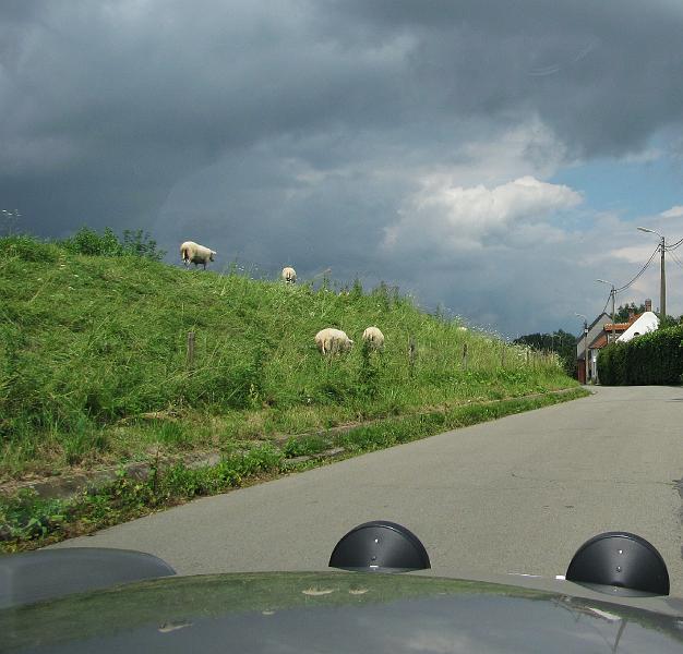 2de Oldtimerrit op 15 juli 2012 te Grimbergen (76).JPG